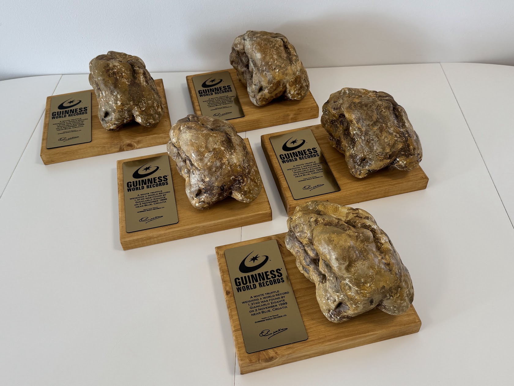 3D printana replika tartufa