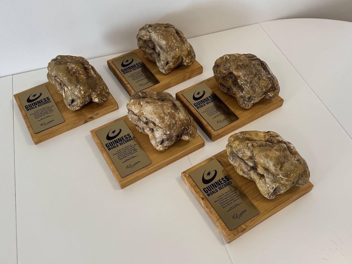 3D print tartufa
